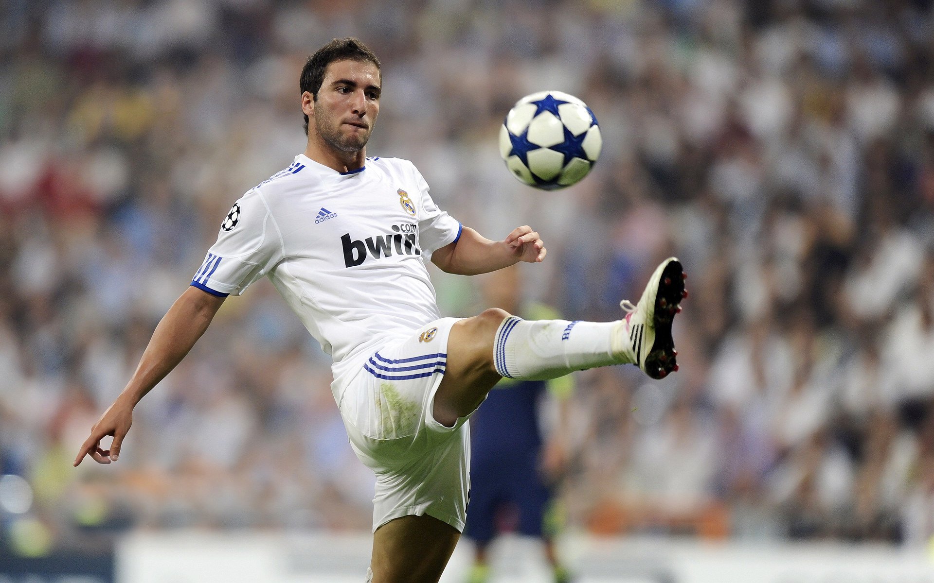 张伟丽获评最佳技术型选手,张伟丽技术特点分析