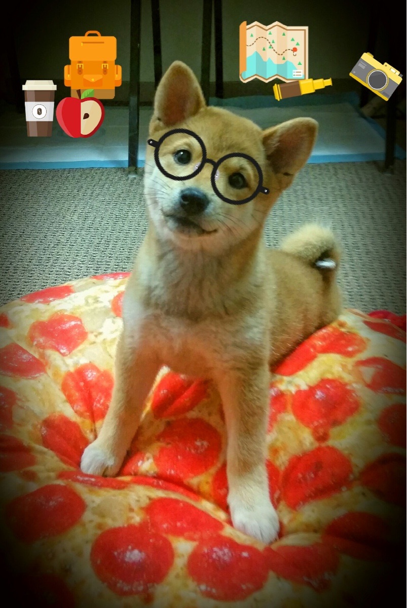 中国足球高水平裁判员在线培训平台正式启用，中国足球协会裁判员信息化平台