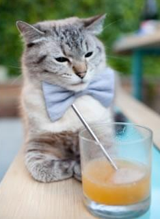 互联网+青少年比赛体验,扩大赛事影响力和覆盖面,互联网 青少年