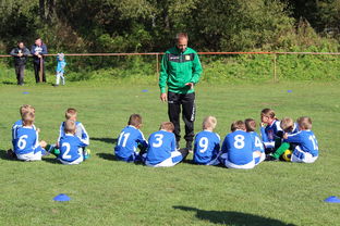 开云官网登录-欧洲杯逆转奇迹：战术配合与个人能力的完美呈现，欧洲杯逆天进球